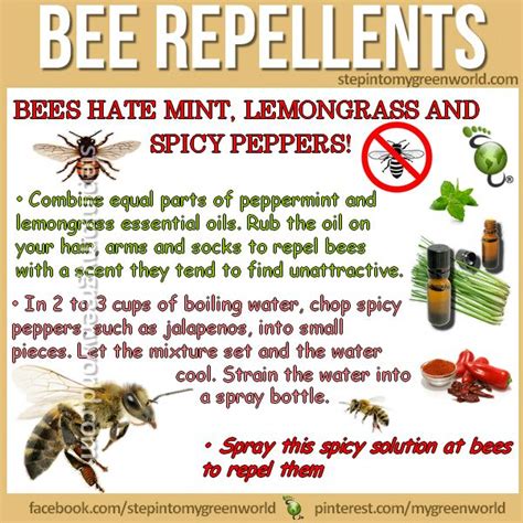 Does anything repel bees?